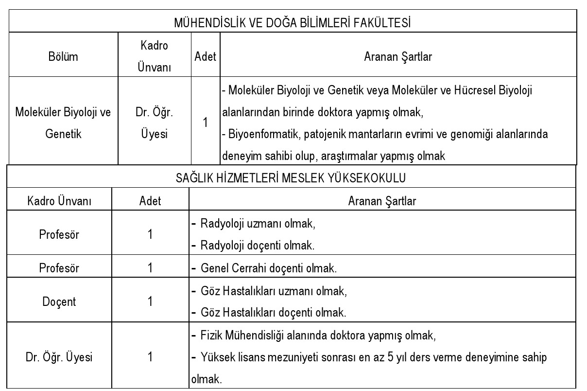 Öğretim Görevlisi ve Araştırma Görevlisi Başvuruları