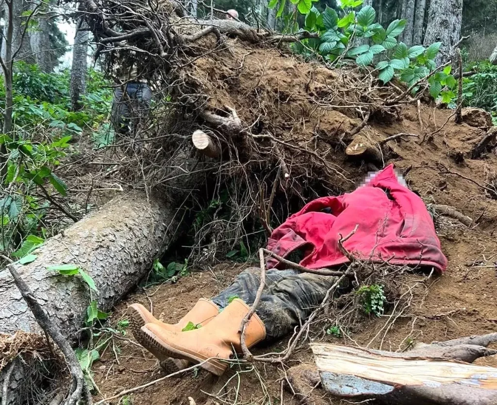 Ağaç Kısmı Sırasında Devrilen Ağaç Altında Kalan Adam Hayatını Kaybetti