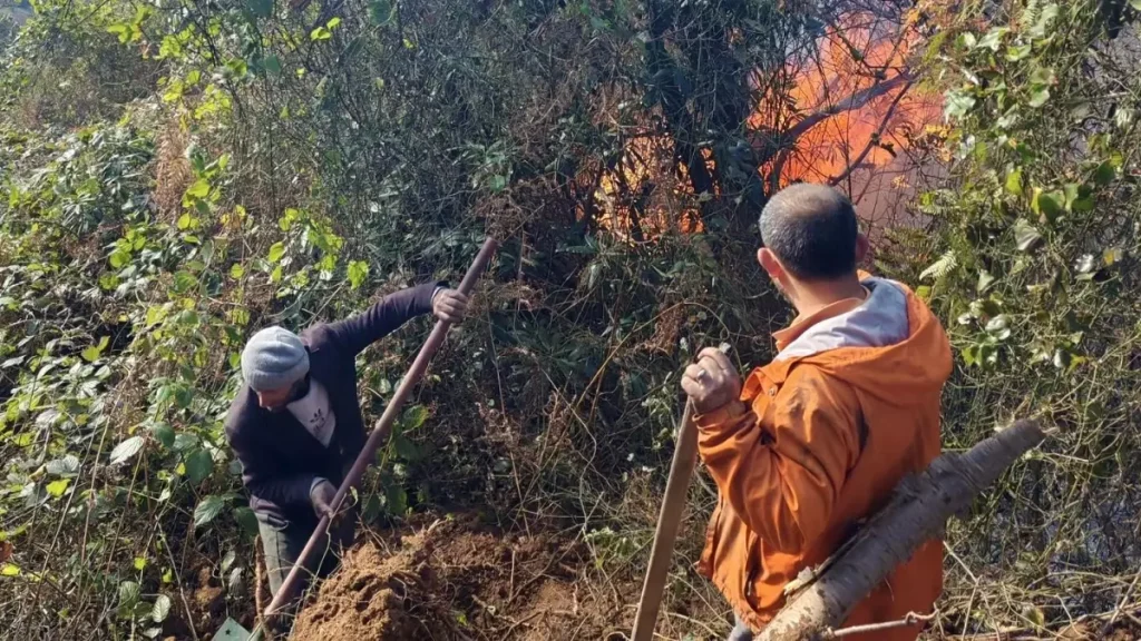 Artvin Hopa’da Orman Yangını: Gruplar Ağır Gayret Veriyor