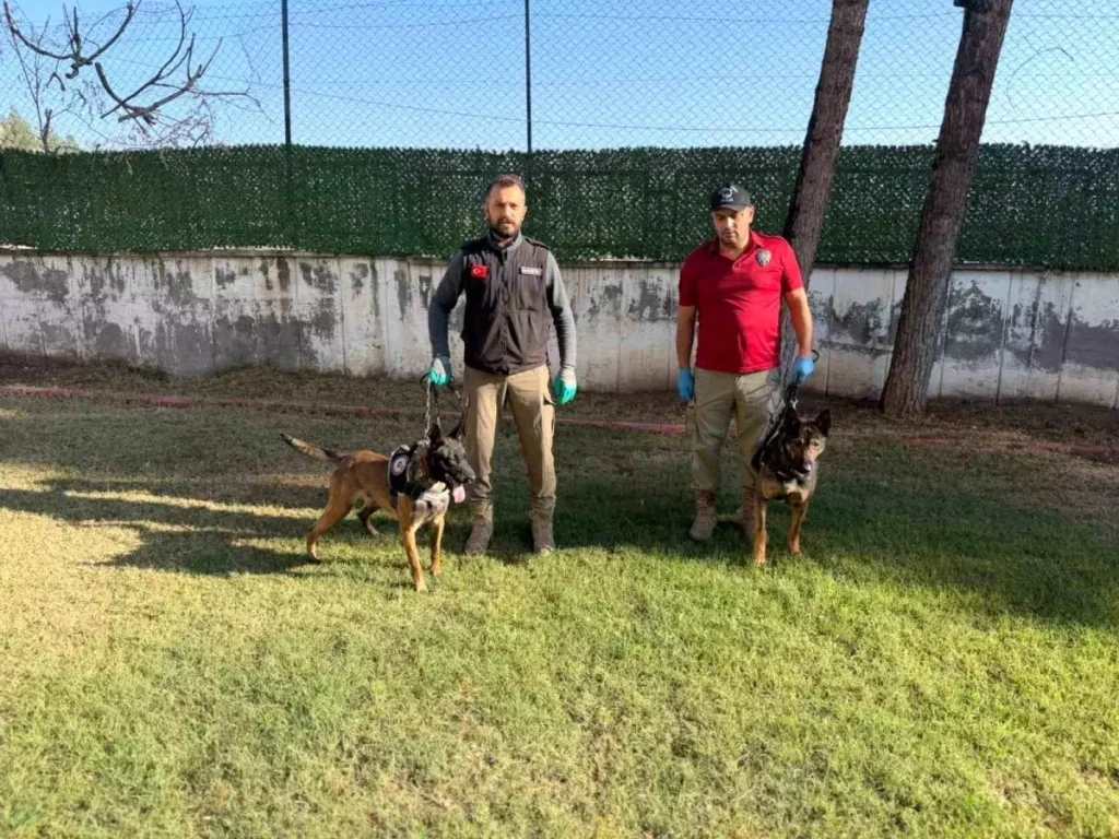 Batman’ın Narkotik Köpekleri Hector ve Mailo, Uyuşturucu ile Uğraşta Muvaffakiyet Kıssası Yazıyor