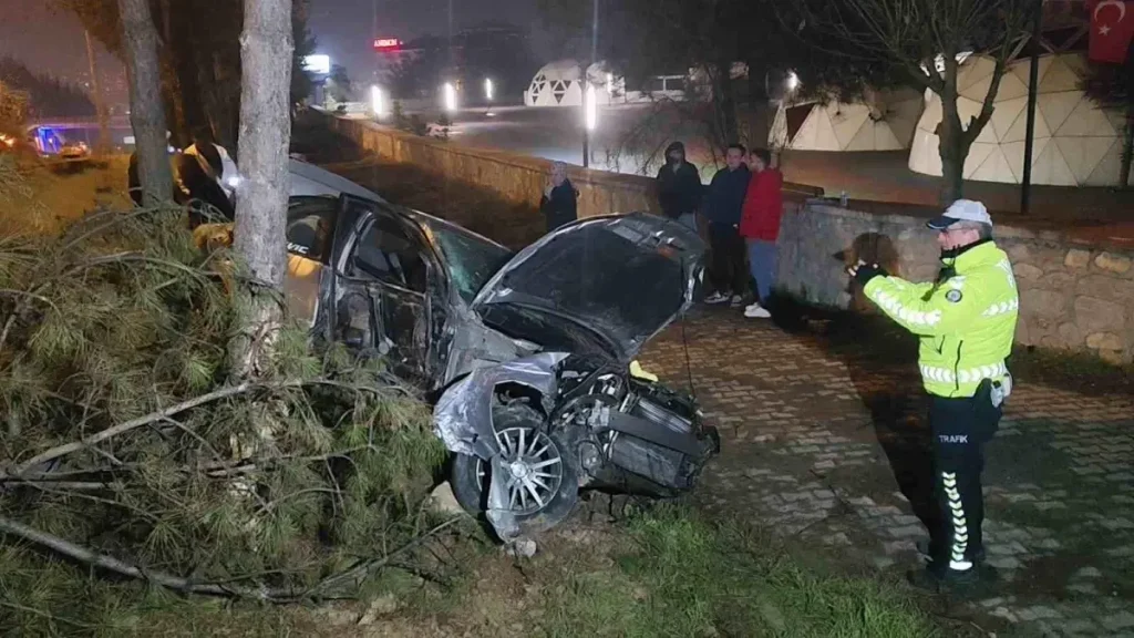 Denetimden çıkan araba, direk ve ağaçlara çarptı: 1 yaralı