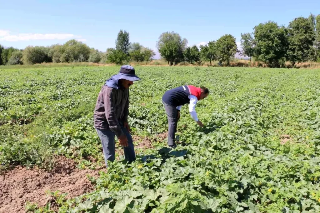 Erzincan’da Çiftçi Kayıt Sistemi Müracaatlarında Son Günlere Gelindi