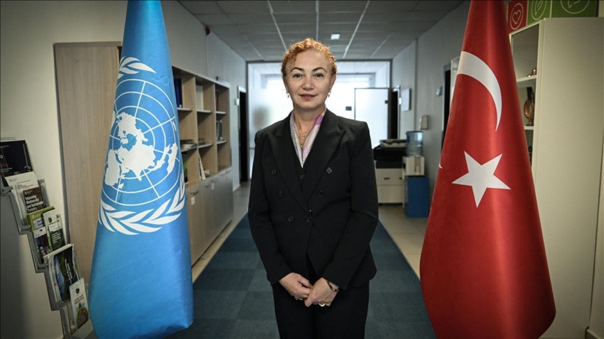 Arazi Bozulmasının Etkileri ve Gereken Müdahaleler