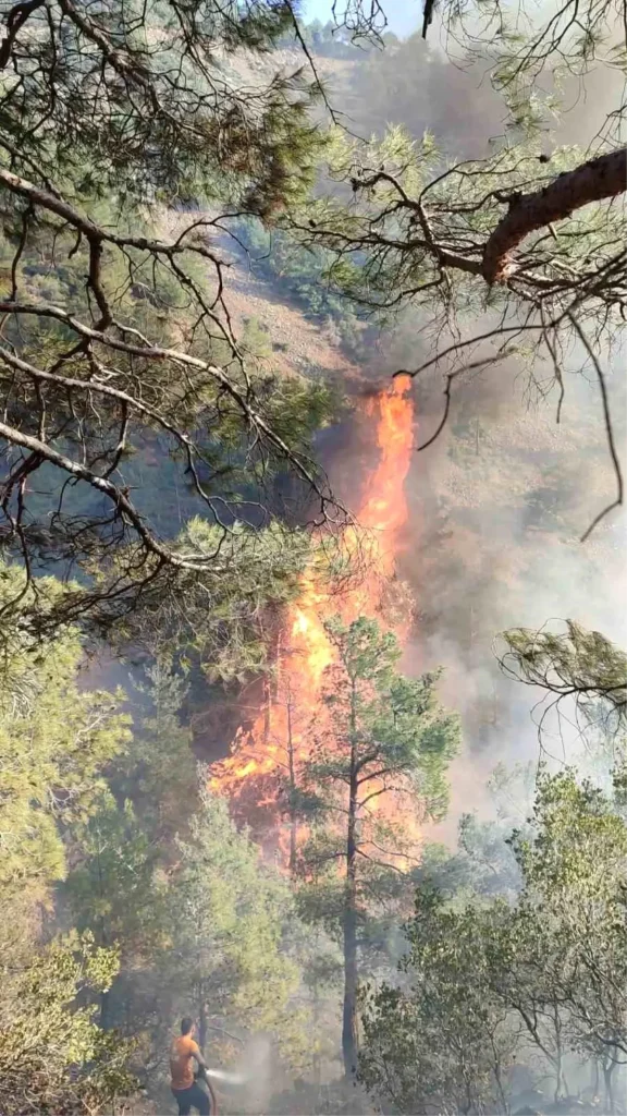 Hatay Belen’de Orman Yangınına Müdahale Başladı