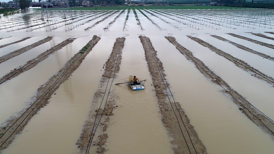 Herkes İçin Erken Uyarılar: WMO Olağanüstü Oturumu ve Küresel Dayanışma Vurgusu