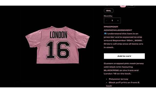 Kaspersky, BlackPink Dünya Çeşidi Sırasında Ortaya Çıkan Düzmece Eser Dolandırıcılıklarını Tespit Etti