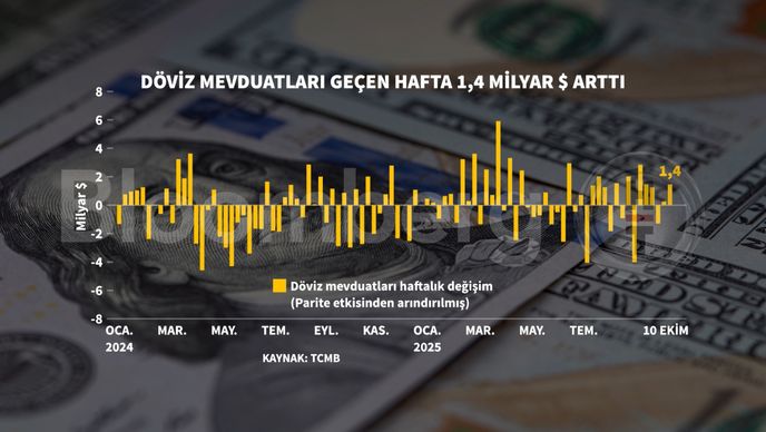 KKM ve Döviz Mevduatlarında Haftalık Değişim Analizi: 10 Ekim Haftasına Genel Bakış