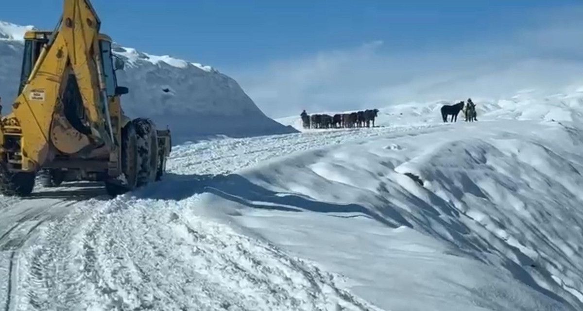 Ulaşım ve Hayvancılık Durumu