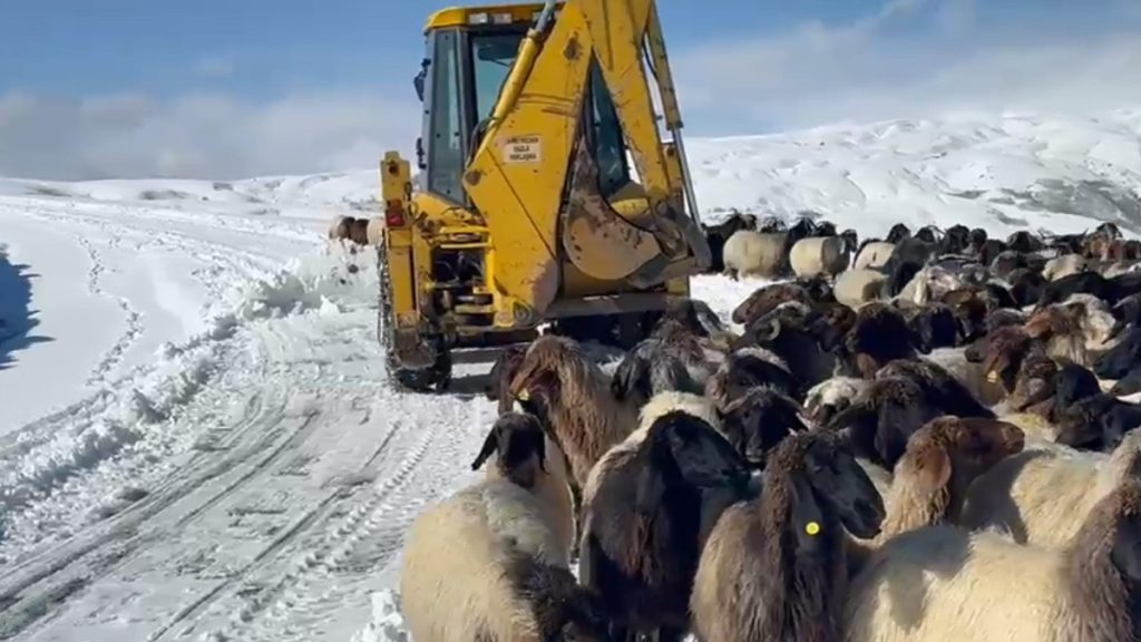 Muş’ta Kar ve Sağanak Etkili: 14 Köy Yolu Ulaşıma Kapandı