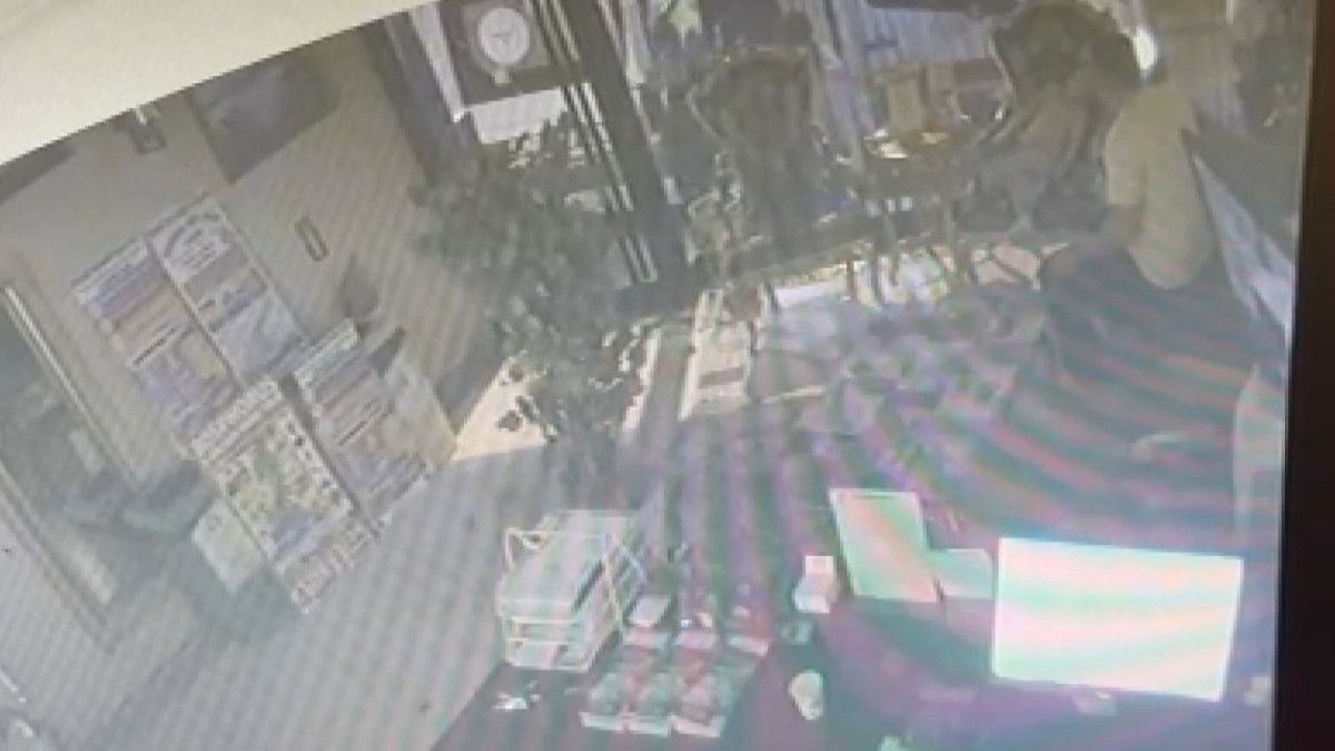 Otelde Kalan Böcek Ailesinin Unutulmaz Kilitli Anları