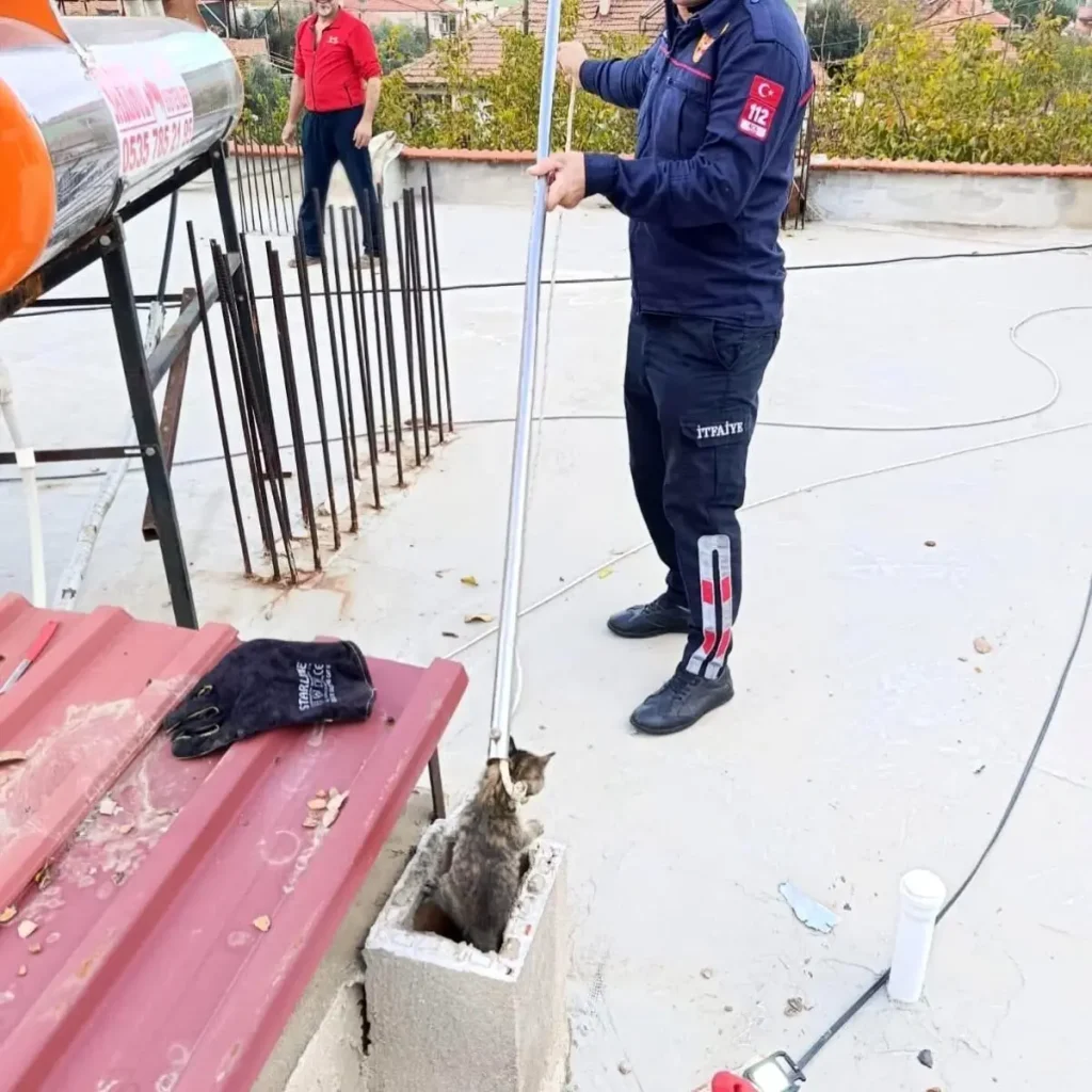 Sarıgöl’de Bacaya Sıkışan Kedi İtfaiye Takımlarınca Kurtarıldı
