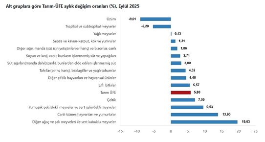 Tarım ÜFE: Eylülde Üretici Fiyatlarında Önemli Artışlar ve Alt Gruplara Göre Dağılım