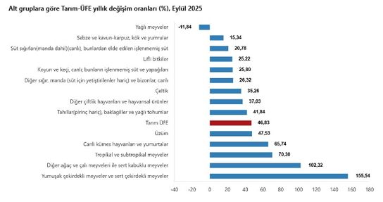 Tarım ÜFE: Eylülde Üretici Fiyatlarında Önemli Artışlar ve Alt Gruplara Göre Dağılım