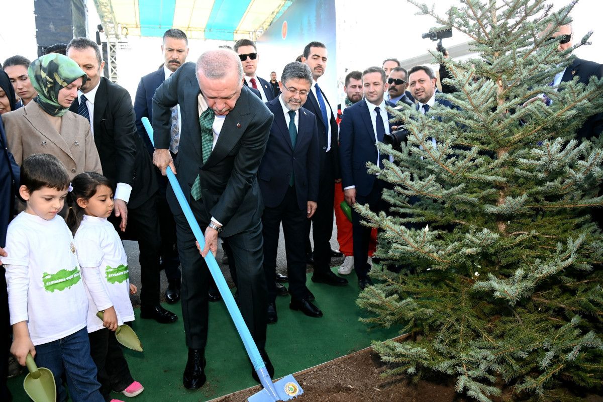 Katılım ve fidan sayısında ulaşılan rakamlar