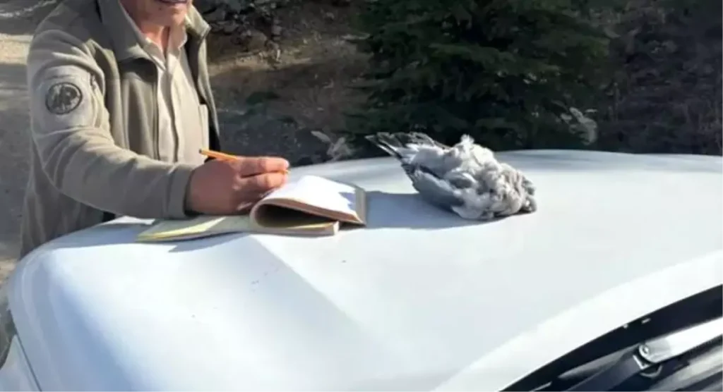 Burdur’da kaçak avcılar gruplara yakalandı