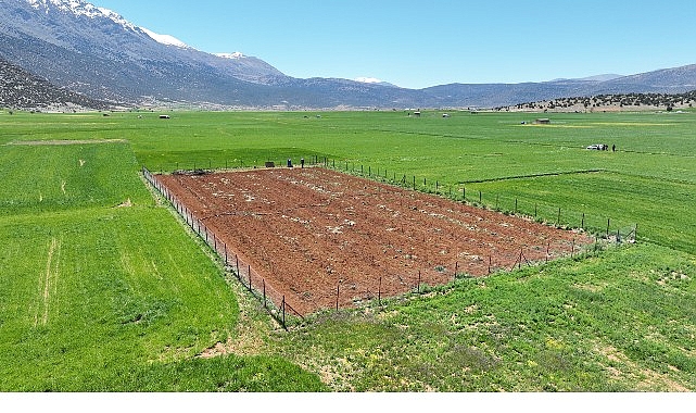Büyükşehir Belediyesi’nden ziraî sulamaya büyük takviye