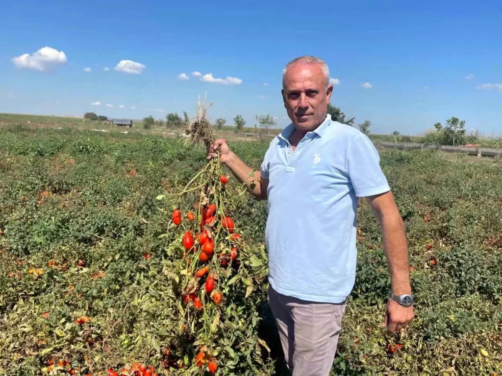 Dedesi seçimde muhtar oldu ismine “Seçim” konuldu