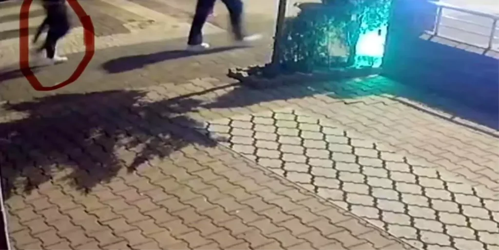 Gece yarısı çiğ köfte dükkanını kurşunlayıp, kaçtılar