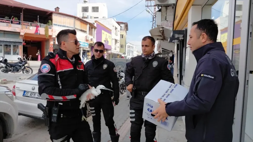 Hatay’da polis gruplarının bulduğu yaralı ak balıkçıl tedaviye alındı