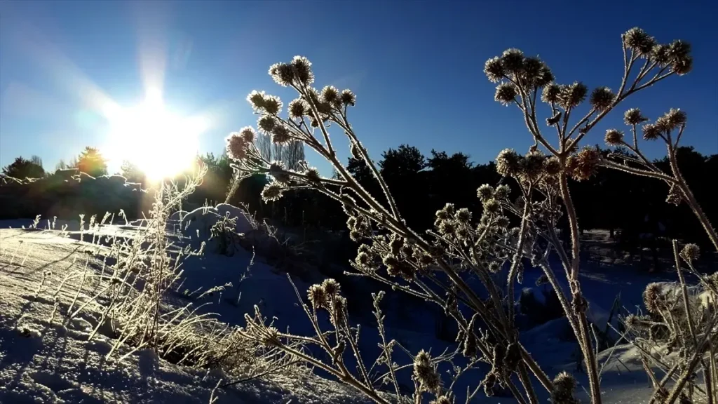 Kars ve Ardahan’da soğuk hava tesirini sürdürüyor