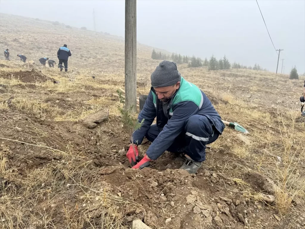 Kayseri’den kısa kısa