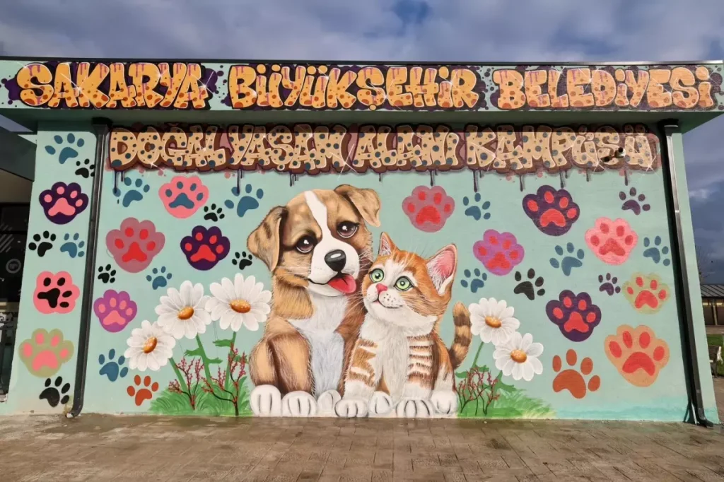 Sakarya’da Sokak Hayvanları İçin Yeni Doğal Yaşam Kampüsü: Hayvan Kabulü Başladı