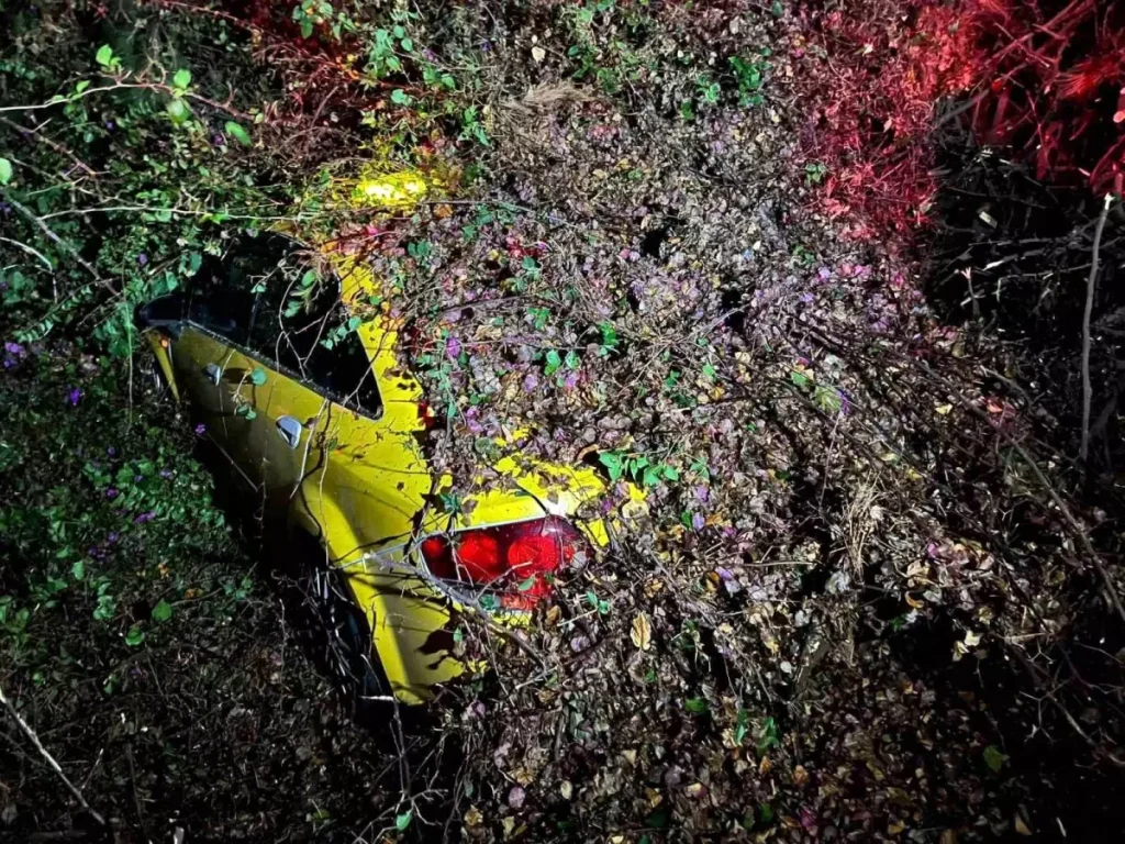 Şoförünün içinde olduğu arabanın üzerine ağaç devrildi