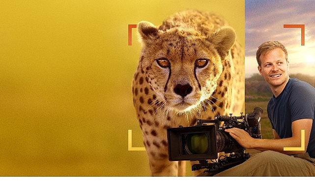 ‘Bertie Gregory Çitalarla Yüz Yüze’, 3 Ocak Cumartesi 20.00’de National Geographic WILD Ekranlarında!