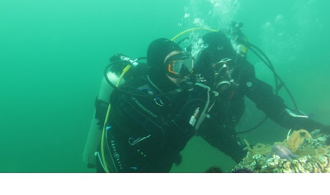 Büyükakın: “Dipten diriliş tüm Marmara’ya yayılıyor”