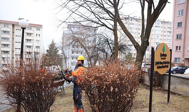 Çankaya’da Budama Çalışmaları Bahar Öncesi Sürat Kazandı