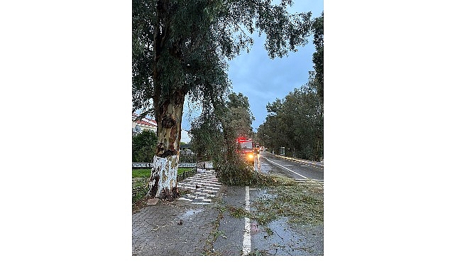Foça Belediyesi Takımları Fırtına ve Yağışa Karşı Teyakkuzda