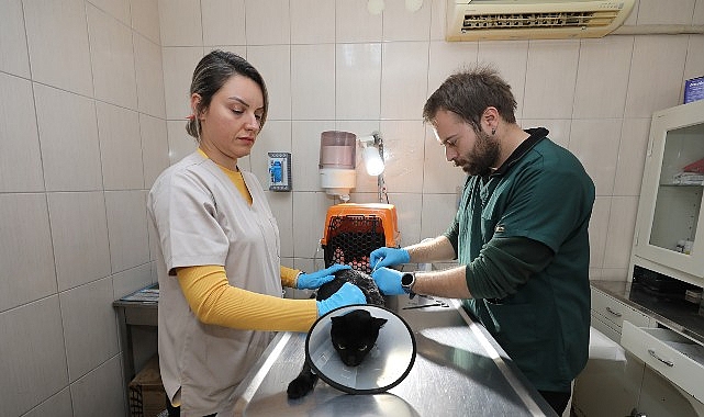 Gaziemir Belediyesi 6 bin 222 can dostun hayatına dokundu