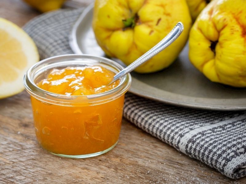 Pratik Ayva Reçeli Tanımı