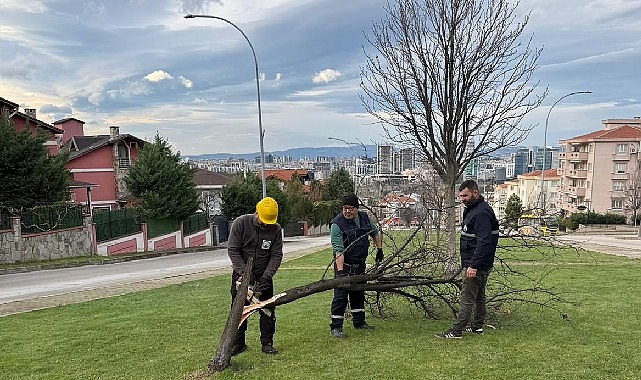 Şiddetli Lodosun Devirdiği Ağaçlara Osmangazi Belediyesi’nden Dakikalar içinde Müdahale 