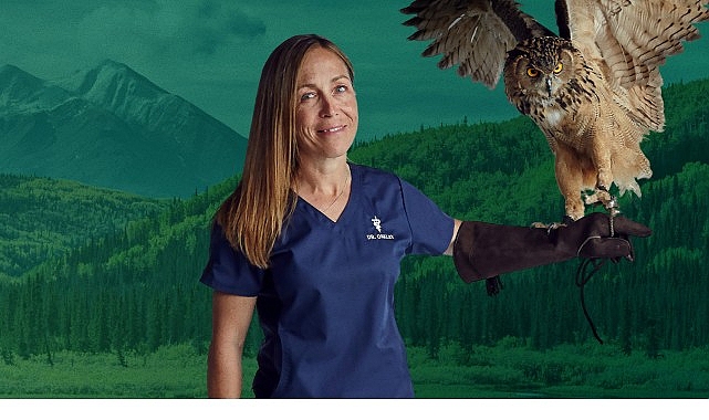 6 Kısımdan Oluşan ‘Yukon Veterineri Özel’, 5. Dönemi İle 4-11-18 Şubat Çarşamba Saat 20.00’de İki Kısım Arka Arda National Geographic WILD Ekranlarında!