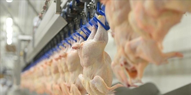 Bakanlık arz-talep istikrarı için kanatlı eti ihracatına ‘dur’ dedi