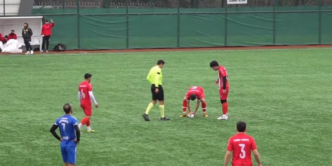 Kupa gitti can geldi: Maç esnasında top çarpan martıya kalp masajı!