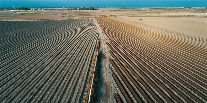 Paylı İştiraklerde Fiili Taksime Dair Kritik Karar