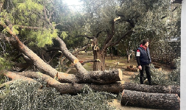 Şiddetli Fırtına Nedeniyle Yaşanan Olumsuz Durumlara Milas Belediyesi Dakikalar içinde Müdahale Etti