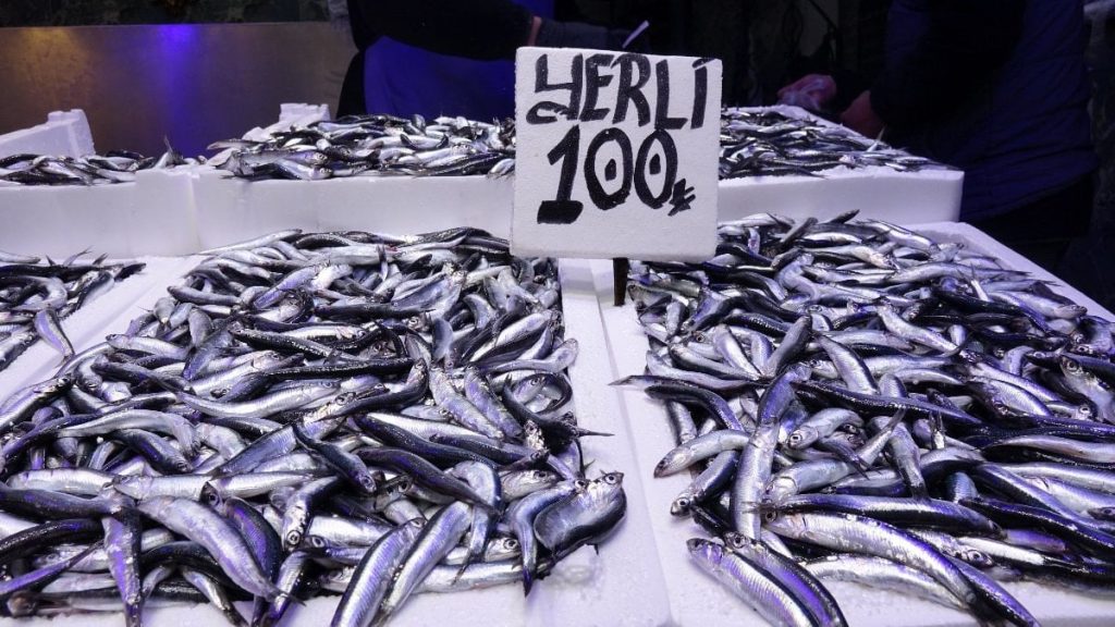 Trabzon’da hamsi ve istavrit rahmeti