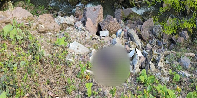 Düzce’de ormanlık alanda ceset bulunmasına ilişkin 1 zanlı yakalandı