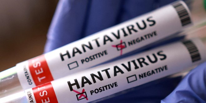 Hantavirüs vakalarının tespit edildiği yolcu gemisi, Tenerife’de